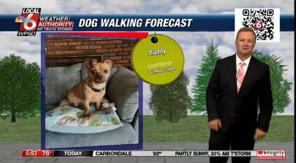 Dog walking forecast 7.16.24.JPG